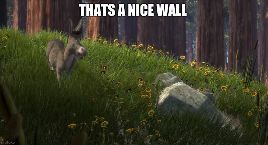 Thats a nice boulder | THATS A NICE WALL | image tagged in thats a nice boulder | made w/ Imgflip meme maker