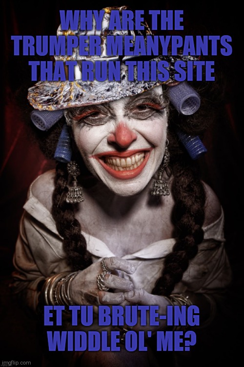 Clownville Mother Smiling  tin foil hat Clown | WHY ARE THE TRUMPER MEANYPANTS THAT RUN THIS SITE ET TU BRUTE-ING WIDDLE OL' ME? | image tagged in clownville mother smiling tin foil hat clown | made w/ Imgflip meme maker