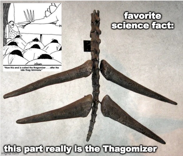 Introducing . . . the Thagomizer | favorite science fact:; this part really is the Thagomizer | image tagged in science,dinosaurs,comics/cartoons | made w/ Imgflip meme maker