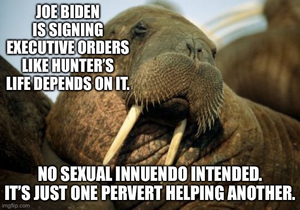 Joe Biden is signing a bunch of orders while Hunter is in hiding | JOE BIDEN IS SIGNING EXECUTIVE ORDERS LIKE HUNTER’S LIFE DEPENDS ON IT. NO SEXUAL INNUENDO INTENDED. IT’S JUST ONE PERVERT HELPING ANOTHER. | image tagged in memes,sexual deviant walrus,joe biden,hunter,executive orders,pervert | made w/ Imgflip meme maker