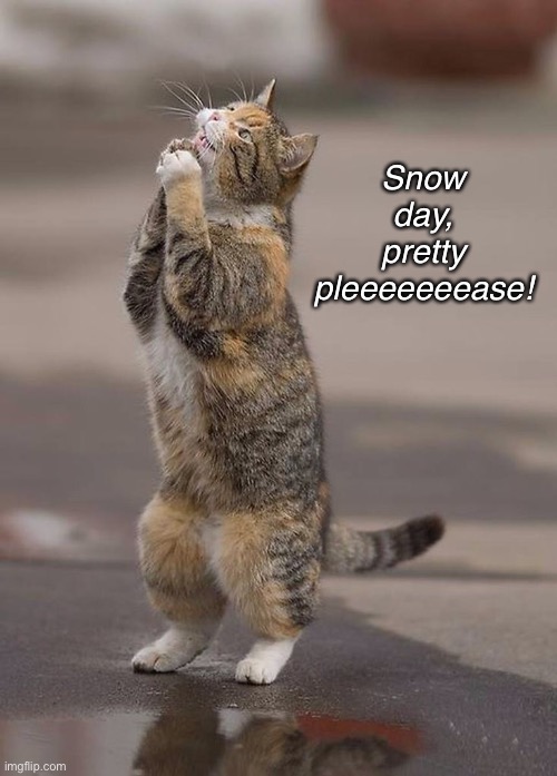 Me After Working the Entire Weekend | Snow day, pretty pleeeeeeease! | image tagged in funny memes,cats | made w/ Imgflip meme maker