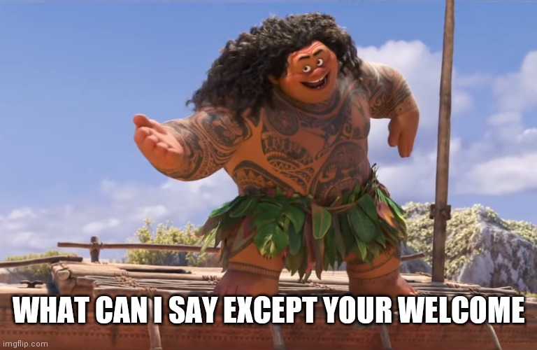 you're welcome without subs | WHAT CAN I SAY EXCEPT YOUR WELCOME | image tagged in you're welcome without subs | made w/ Imgflip meme maker