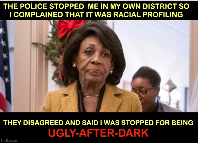 Maxine Waters | image tagged in police brutality | made w/ Imgflip meme maker