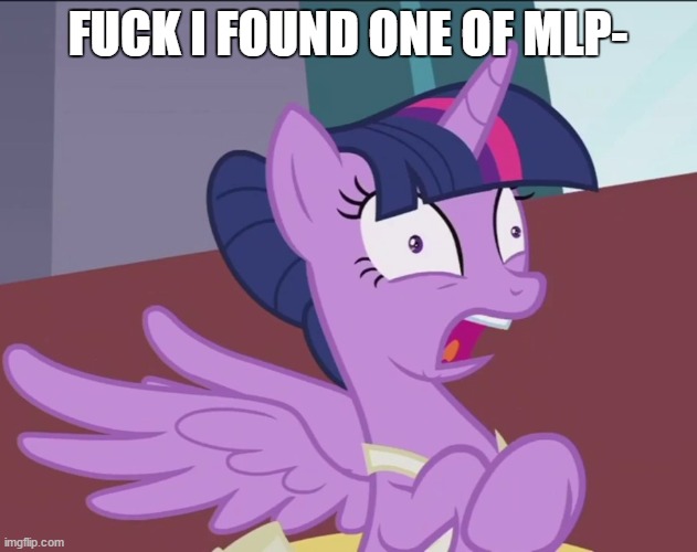 NOOOOOOOOOOOOOOOOOO THEY ARE CLOPPING NO NO NOO- | FUCK I FOUND ONE OF MLP- | image tagged in twilightsparkle panicking | made w/ Imgflip meme maker