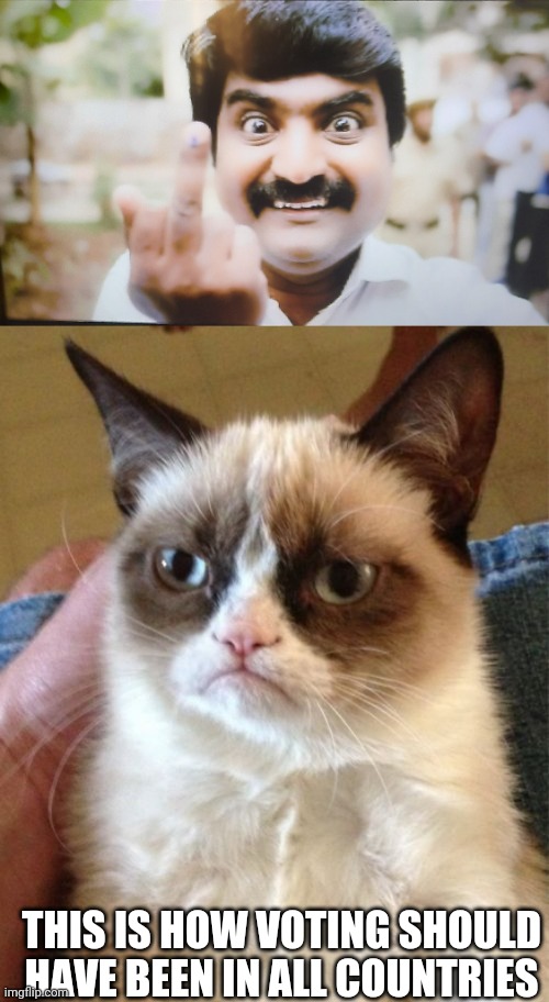 THIS IS HOW VOTING SHOULD HAVE BEEN IN ALL COUNTRIES | image tagged in memes,grumpy cat | made w/ Imgflip meme maker