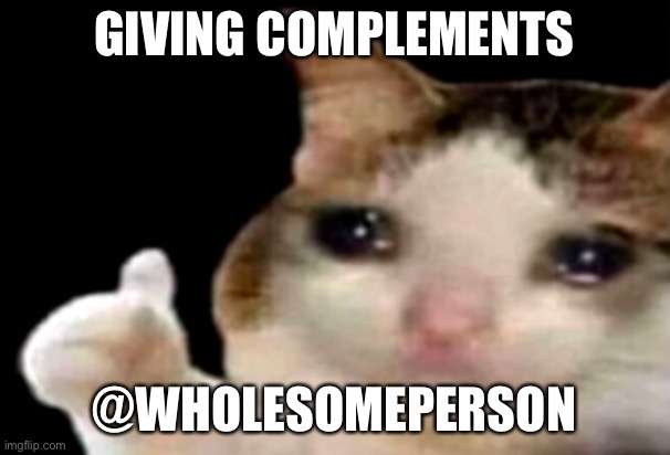 Sad cat thumbs up | GIVING COMPLEMENTS; @WHOLESOMEPERSON | image tagged in sad cat thumbs up | made w/ Imgflip meme maker