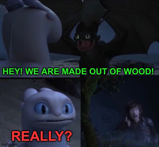 How to train your dragon 3 | HEY! WE ARE MADE OUT OF WOOD! REALLY? | image tagged in how to train your dragon 3 | made w/ Imgflip meme maker