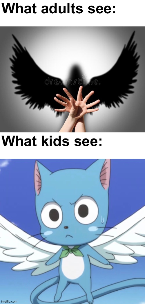Another "What kids see" meme but this time without cars |  What adults see:; What kids see: | image tagged in memes,funny,fairy tail,right in the childhood,gifs,not really a gif | made w/ Imgflip meme maker