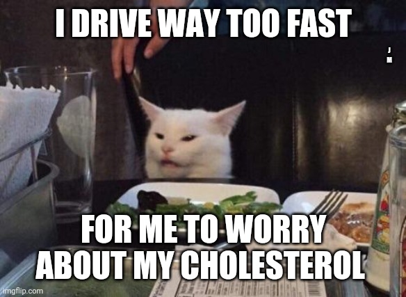 Salad cat | I DRIVE WAY TOO FAST; J M; FOR ME TO WORRY ABOUT MY CHOLESTEROL | image tagged in salad cat | made w/ Imgflip meme maker