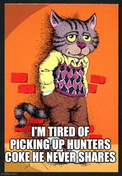 hunter hidding | I'M TIRED OF PICKING UP HUNTERS COKE HE NEVER SHARES | image tagged in grumpy cat | made w/ Imgflip meme maker