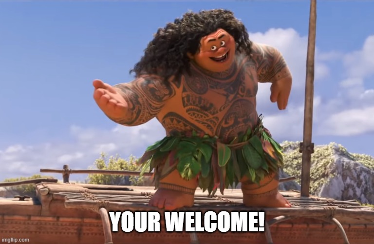 you're welcome without subs | YOUR WELCOME! | image tagged in you're welcome without subs | made w/ Imgflip meme maker