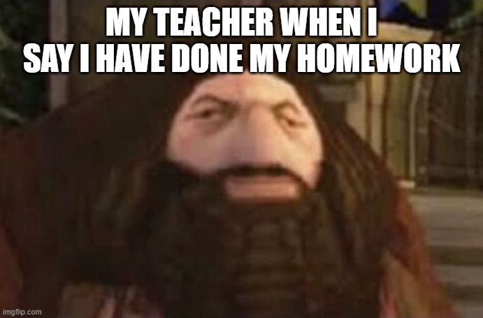 my teacher | MY TEACHER WHEN I SAY I HAVE DONE MY HOMEWORK | image tagged in hagrrod | made w/ Imgflip meme maker