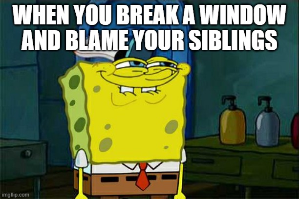 Don't You Squidward | WHEN YOU BREAK A WINDOW AND BLAME YOUR SIBLINGS | image tagged in memes,don't you squidward | made w/ Imgflip meme maker