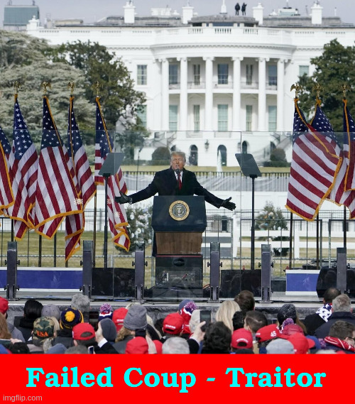 Failed coup traitor | image tagged in traitor | made w/ Imgflip meme maker