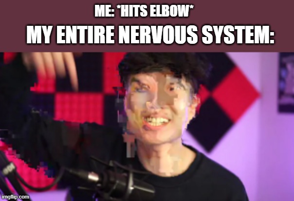 ouch | ME: *HITS ELBOW*; MY ENTIRE NERVOUS SYSTEM: | image tagged in rageelixir,broken thumbnail,relatable | made w/ Imgflip meme maker