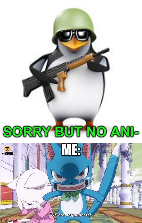 Idk... I just randomly made this... - Fairy Tail meme | SORRY BUT NO ANI-; ME: | image tagged in no anime penguin,memes,funny,fairy tail,happy fairy tail,no anti anime | made w/ Imgflip meme maker