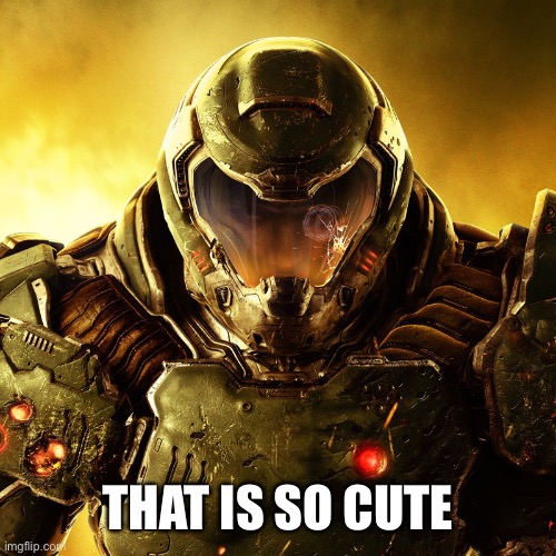 Doom Slayer | THAT IS SO CUTE | image tagged in doom slayer | made w/ Imgflip meme maker