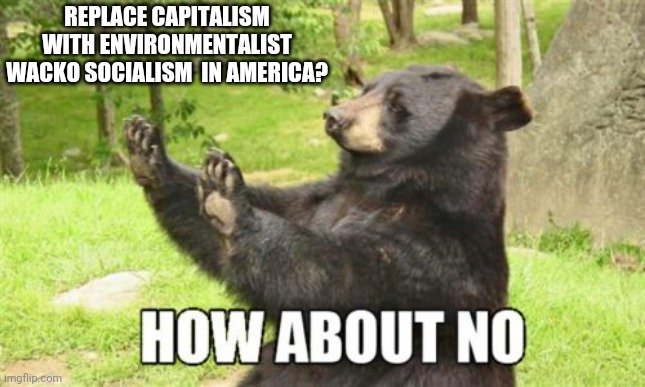 How About No Bear Meme | REPLACE CAPITALISM WITH ENVIRONMENTALIST WACKO SOCIALISM  IN AMERICA? | image tagged in memes,how about no bear | made w/ Imgflip meme maker