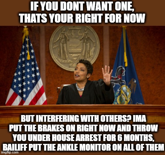 divorce court | IF YOU DONT WANT ONE, THATS YOUR RIGHT FOR NOW BUT INTERFERING WITH OTHERS? IMA PUT THE BRAKES ON RIGHT NOW AND THROW YOU UNDER HOUSE ARREST | image tagged in divorce court | made w/ Imgflip meme maker