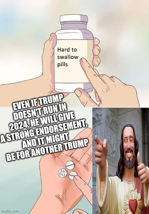 The Trump Era | EVEN IF TRUMP DOESN'T RUN IN 2024, HE WILL GIVE A STRONG ENDORSEMENT, AND IT MIGHT BE FOR ANOTHER TRUMP | image tagged in memes,hard to swallow pills | made w/ Imgflip meme maker