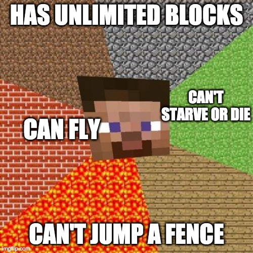 mine shit | HAS UNLIMITED BLOCKS; CAN'T STARVE OR DIE; CAN FLY; CAN'T JUMP A FENCE | image tagged in minecraft | made w/ Imgflip meme maker