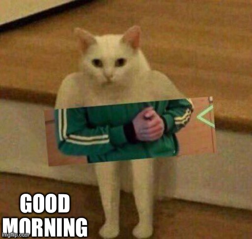 cursedcat | GOOD MORNING | image tagged in cursedcat | made w/ Imgflip meme maker