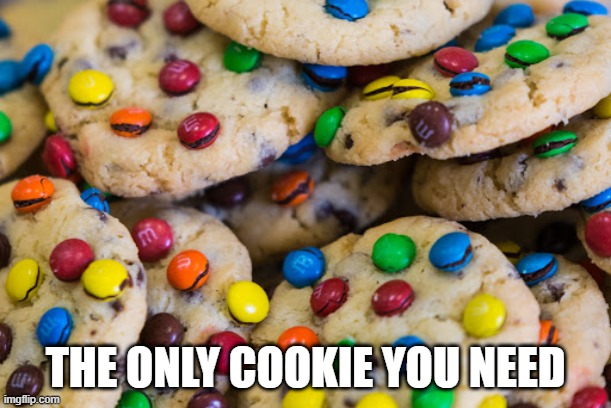 YUM | THE ONLY COOKIE YOU NEED | image tagged in cookie,food | made w/ Imgflip meme maker
