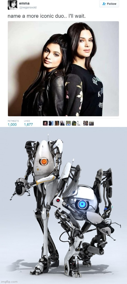 image tagged in name a more iconic duo,portal,portal 2 | made w/ Imgflip meme maker