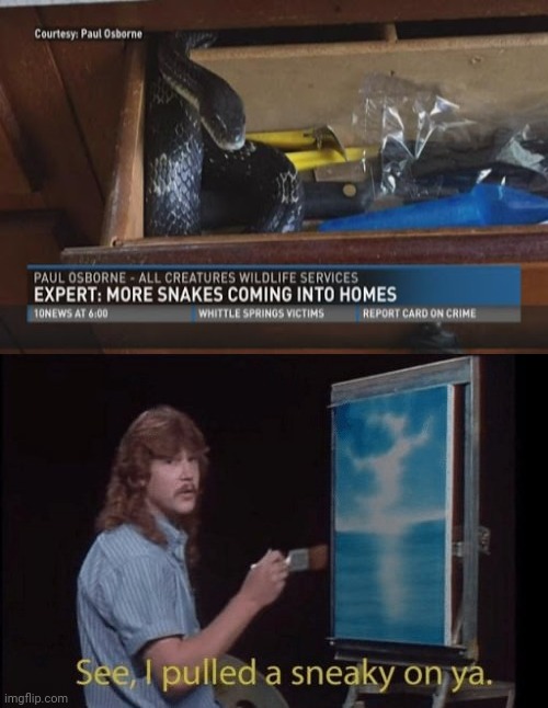 More snakes coming into homes | image tagged in i pulled a sneaky,snakes,funny,sneak 100,memes,news | made w/ Imgflip meme maker