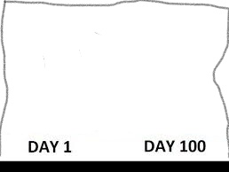 High Quality Day 1-100 Blank Meme Template