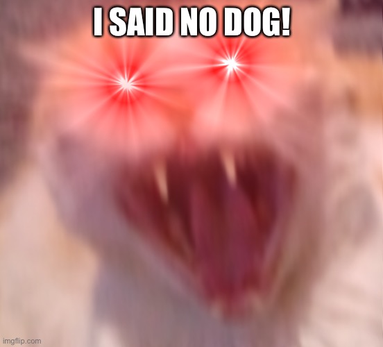 Angry cat | I SAID NO DOG! | image tagged in angry cat | made w/ Imgflip meme maker