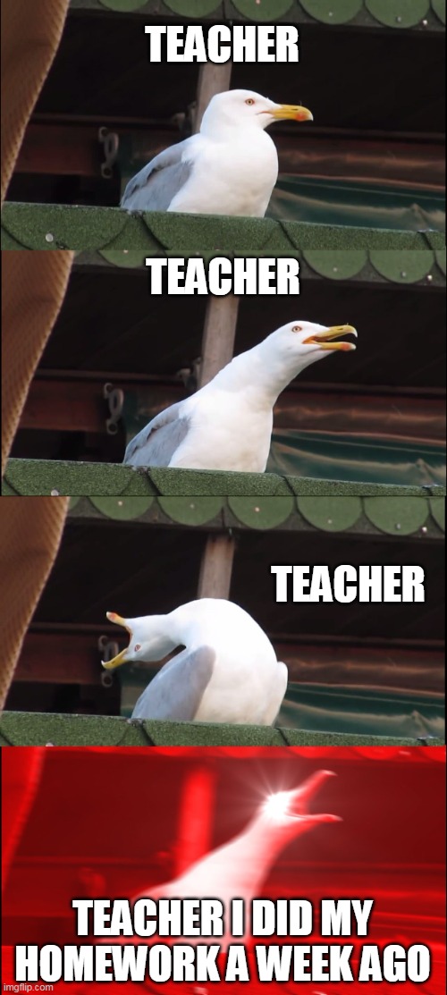 So don't say it's late | TEACHER; TEACHER; TEACHER; TEACHER I DID MY HOMEWORK A WEEK AGO | image tagged in memes,inhaling seagull,homework,teacher | made w/ Imgflip meme maker