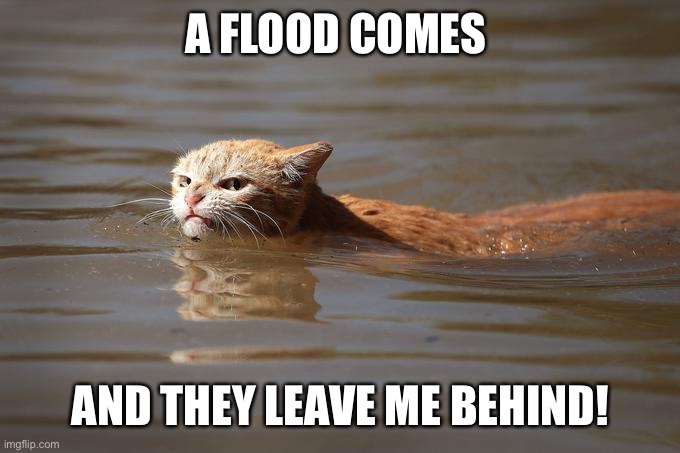 mad cat | A FLOOD COMES; AND THEY LEAVE ME BEHIND! | image tagged in mad cat | made w/ Imgflip meme maker