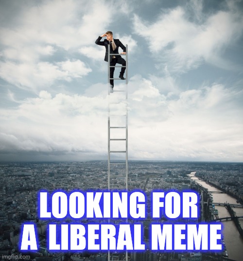 searching | LOOKING FOR 
A  LIBERAL MEME | image tagged in searching | made w/ Imgflip meme maker