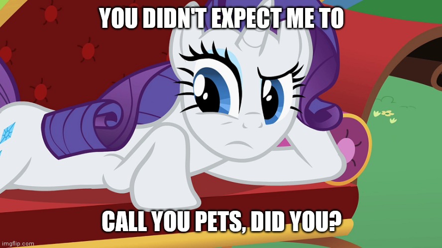 You didn't expect me to lay on the grass, Did you? (MLP) | YOU DIDN'T EXPECT ME TO CALL YOU PETS, DID YOU? | image tagged in you didn't expect me to lay on the grass did you mlp | made w/ Imgflip meme maker
