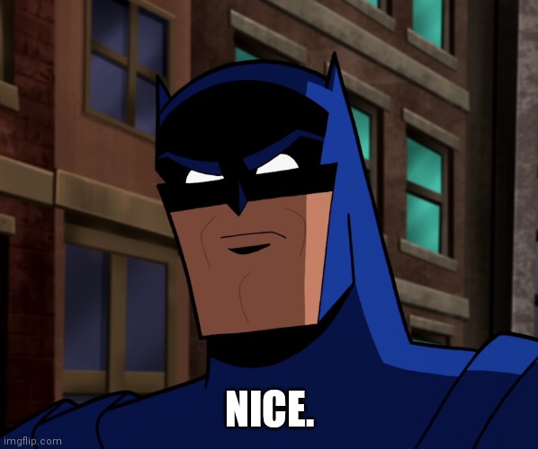 Batman (The Brave and the Bold) | NICE. | image tagged in batman the brave and the bold | made w/ Imgflip meme maker