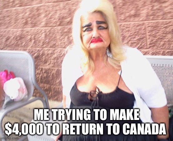 ME TRYING TO MAKE $4,000 TO RETURN TO CANADA | image tagged in canada | made w/ Imgflip meme maker