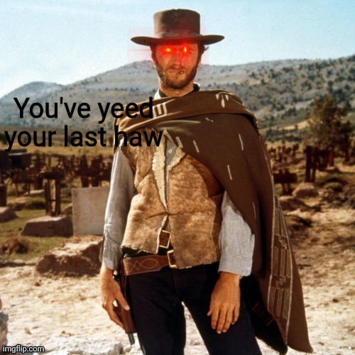 You've yeed your last haw | image tagged in you've yeed your last haw | made w/ Imgflip meme maker