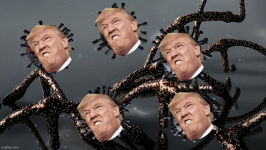 Trump-20 | image tagged in memes | made w/ Imgflip meme maker