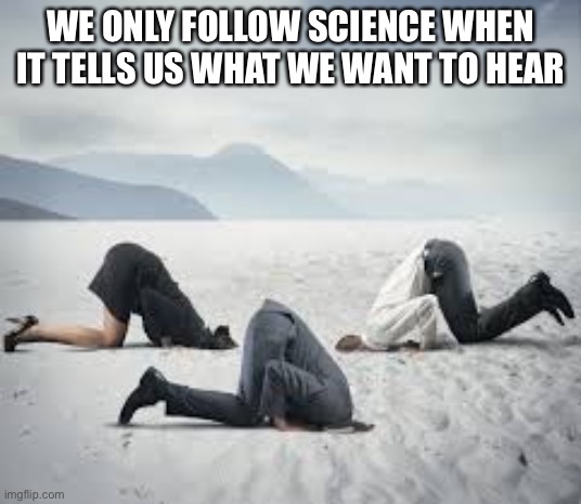 ostrich head in sand | WE ONLY FOLLOW SCIENCE WHEN IT TELLS US WHAT WE WANT TO HEAR | image tagged in ostrich head in sand | made w/ Imgflip meme maker