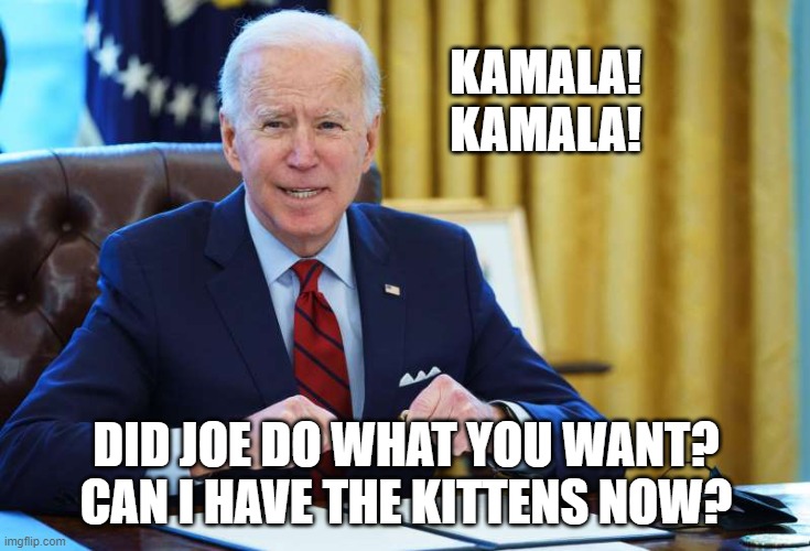 Joe the kitten sniffer | KAMALA!
KAMALA! DID JOE DO WHAT YOU WANT?
CAN I HAVE THE KITTENS NOW? | image tagged in kitten | made w/ Imgflip meme maker
