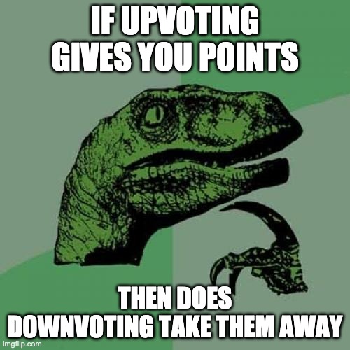 upvote | IF UPVOTING GIVES YOU POINTS; THEN DOES DOWNVOTING TAKE THEM AWAY | image tagged in memes,philosoraptor,upvote,downvote | made w/ Imgflip meme maker