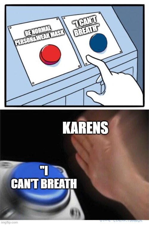 two buttons 1 blue | "I CAN'T BREATH"; BE NORMAL PERSON&WEAR MASK; KARENS; ''I CAN'T BREATH | image tagged in two buttons 1 blue | made w/ Imgflip meme maker