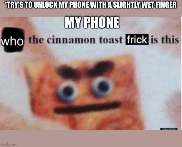 wet finger | *TRY’S TO UNLOCK MY PHONE WITH A SLIGHTLY WET FINGER; MY PHONE | image tagged in what the cinnamon toast f is this | made w/ Imgflip meme maker