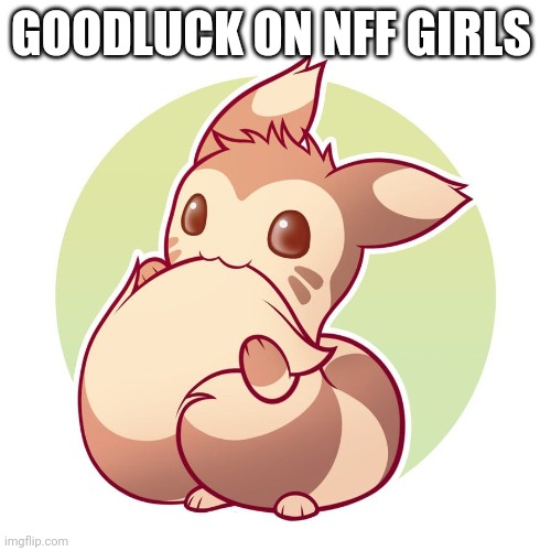 Cute ferret | GOODLUCK ON NFF GIRLS | image tagged in cute ferret | made w/ Imgflip meme maker