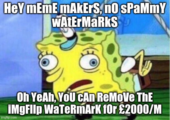 NO SPAMMY WATERMARKS! | HeY mEmE mAkErS, nO sPaMmY
wAtErMaRkS; Oh YeAh, YoU cAn ReMoVe ThE
iMgFlIp WaTeRmArK fOr £2000/M | image tagged in memes,mocking spongebob | made w/ Imgflip meme maker