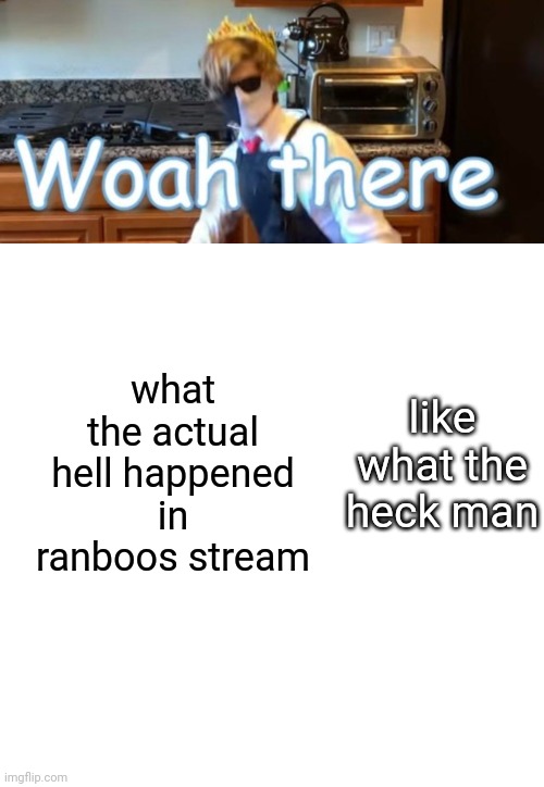 what happened man | like what the heck man; what the actual hell happened in ranboos stream | image tagged in ranboo woah there,memes,blank transparent square | made w/ Imgflip meme maker