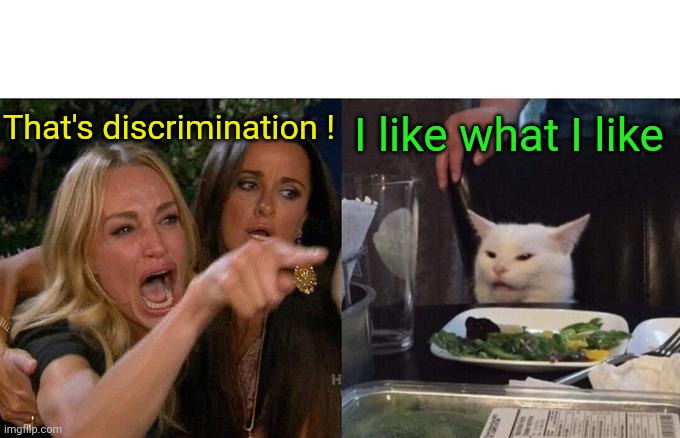 Woman Yelling At Cat Meme | That's discrimination ! I like what I like | image tagged in memes,woman yelling at cat | made w/ Imgflip meme maker