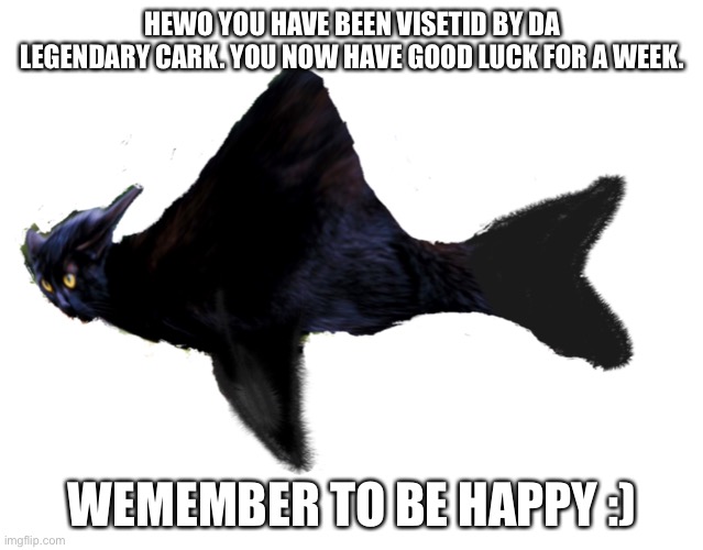 Hi ima cark :) | HEWO YOU HAVE BEEN VISETID BY DA LEGENDARY CARK. YOU NOW HAVE GOOD LUCK FOR A WEEK. WEMEMBER TO BE HAPPY :) | image tagged in cat,shark,cark,luck | made w/ Imgflip meme maker