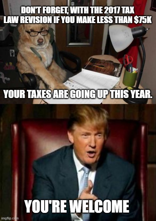 Remember 2017 "tax cut"? | DON'T FORGET, WITH THE 2017 TAX LAW REVISION IF YOU MAKE LESS THAN $75K; YOUR TAXES ARE GOING UP THIS YEAR. YOU'RE WELCOME | image tagged in accountant dog,donald trump,income taxes | made w/ Imgflip meme maker